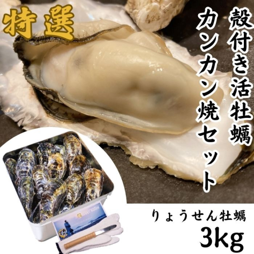 多度津白方 殻付活牡蠣カンカン焼セット3kg(加熱用)（予約受付中：旬にお届け！2025年12月中旬頃から期間限定出荷！）【H-1】 12409 - 香川県多度津町