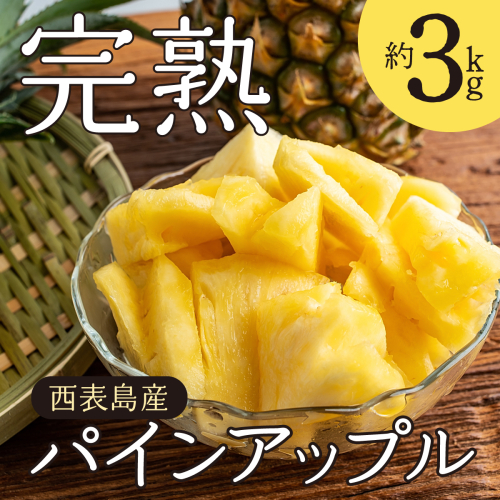 2026年 先行予約 完熟 パインアップル 約3kg 水鴨農園 パイン パイナップル 果物 フルーツ 020-a001_2026 1241024 - 沖縄県竹富町