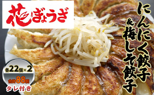 にんにく餃子(22個入り×2袋)と梅しそ餃子(22個入り×2袋)のセット 惣菜 冷凍餃子 中華 夕飯 夜ごはん おかず 食べ比べ おつまみ ビールのおつまみ 1242321 - 静岡県森町