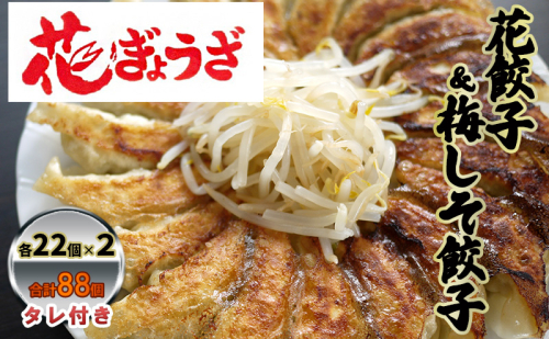 花餃子(22個入×2袋)と梅しそ餃子(22個入×2袋)のセット 惣菜 冷凍餃子 中華 夕飯 夜ごはん おかず 食べ比べ おつまみ ビールのおつまみ 1242325 - 静岡県森町
