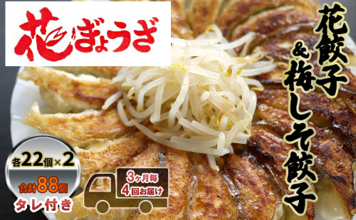 花餃子(22個入×2袋)と梅しそ餃子(22個入×2袋)のセット 3ヶ月毎4回お届け 惣菜 冷凍餃子 中華 夕飯 夜ごはん おかず 食べ比べ おつまみ ビールのおつまみ 1242327 - 静岡県森町