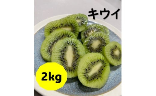 キウイ 2kg 愛媛 国産キウイフルーツ ヘイワード 【2025年11月発送】 数量限定 伊予市｜A20