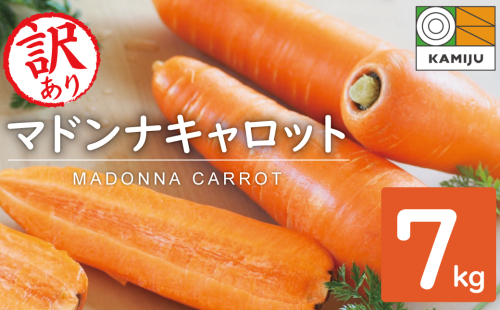 ＜フジテレビ『どっちのふるさと？』で紹介されました！＞ 訳あり！こどもも食べられる甘み！「マドンナキャロット」 7kg にんじん 人参 ニンジン 野菜 やさい 国産 碧南市 健康 食品ロス削減 甘い 先行予約 旬 特産 高評価 高リピート 人気　H105-135 1242651 - 愛知県碧南市