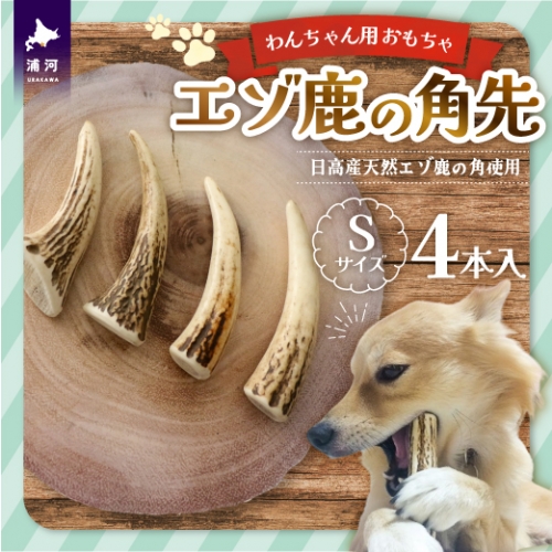 エゾ鹿の角先 Sサイズ×4本セット(1本物)[54-1363] 1243168 - 北海道浦河町