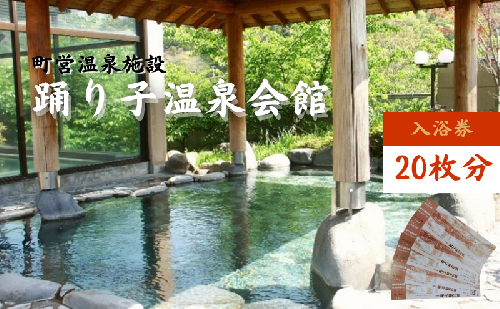 踊り子温泉会館 【入浴券 20枚分】 チケット 峰温泉 温泉 入浴 レジャー 大浴場 回数券 露天風呂 泡風呂 サウナ 癒し 河津町 河津 1244492 - 静岡県河津町