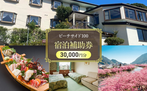 ビーチサイド100 【30,000円分】 宿泊補助券 貸し切り 貸切 オーシャンビュー 温泉 今井浜温泉 河津 河津町 静岡 伊豆 宿泊券 旅行 観光 国内旅行 家族旅行 ファミリー カップル グループ 河津桜 海水浴 1244496 - 静岡県河津町