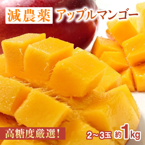2026年 先行予約 【高糖度厳選】プレミアム完熟マンゴー1kg 2～3玉(栽培期間中 減農薬栽培) アナナス農園 完熟 マンゴー 果物 フルーツ 1245107 - 沖縄県竹富町