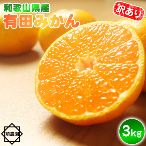 BL6171_【2025年先行予約】【産地直送】和歌山県産 有田みかん 3kg サイズ混合 【訳あり】 1245120 - 和歌山県湯浅町