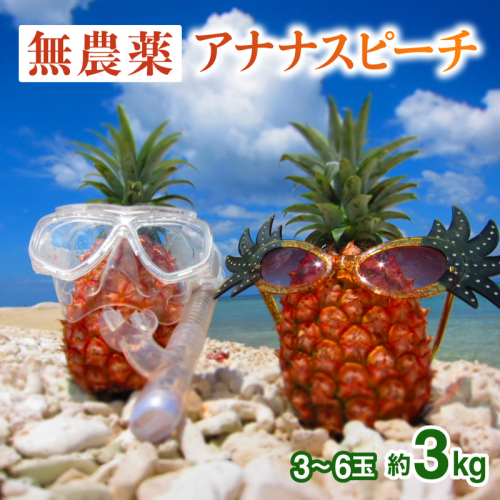 【JASオーガニック】 プレミアムピーチパイン 約3kg 3～6玉 023-a012_2026 1245191 - 沖縄県竹富町