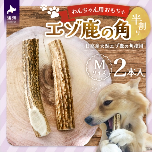 エゾ鹿の角 Mサイズ×2本(半割)[54-1366] 1246040 - 北海道浦河町