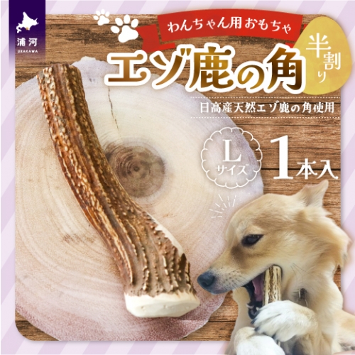 エゾ鹿の角 Lサイズ×1本(半割)[54-1367] 1246071 - 北海道浦河町