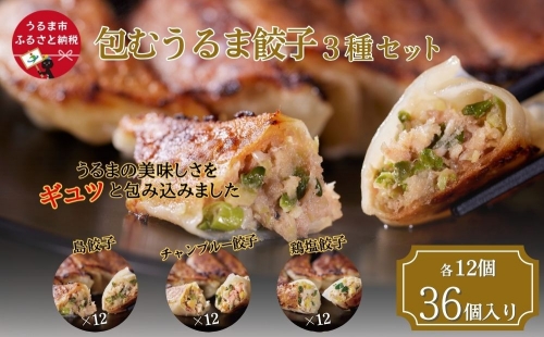 包むうるま餃子 3種セット（島餃子・鶏塩餃子・チャンプルー餃子） 1246300 - 沖縄県うるま市