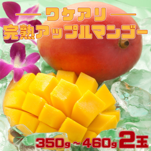 訳あり 完熟 アップルマンゴー 2L 350g〜460g 2玉 マンゴー 果物 デザート 品評会連続入賞 2025年 発送 ますみ農園 1246517 - 沖縄県竹富町