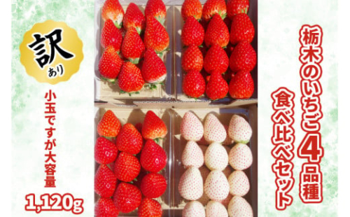 [訳あり] 栃木のいちご4品種食べ比べセット【小玉ですが大容量1120g】｜とちあいか とちおとめ ミルキーベリー スカイベリー イチゴ 苺 フルーツ デザート 果物 農家直送 産直 矢板市産 [0538]