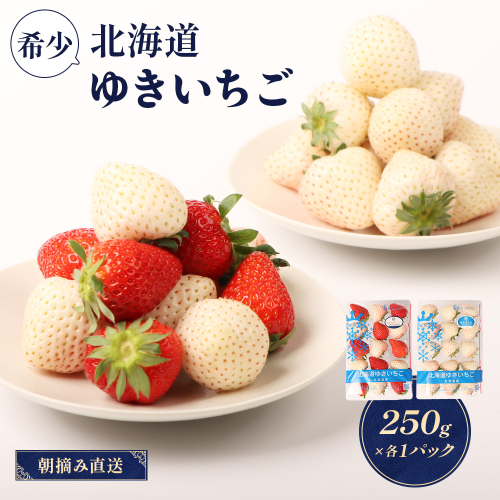 【受注後、随時発送！】【北海道産】ゆきいちご（ゆきぼたん/紅ほっぺ）白×MIX 2Pセット 各250g×2 計500g 苺 白いちご 一季成りイチゴ 希少 ギフト お取り寄せ ふるさと納税 北海道 中標津町【59002】 1248214 - 北海道中標津町
