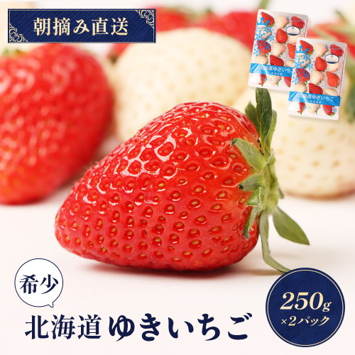 【受注後、随時発送！】【北海道産】ゆきいちご（ゆきぼたん/紅ほっぺ）赤白MIX×2Pセット 250g×2 計500g 苺 白いちご 一季成りイチゴ 希少 ギフト お取り寄せ ふるさと納税 北海道 中標津【59003】 1248216 - 北海道中標津町