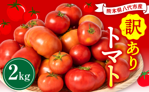 【先行予約】【訳あり】 八代市産 規格外トマト 約2kg 熊本県 八代市 特産品 規格外 トマト 野菜 やさい 新鮮 とまと 【2026年4月中旬より順次発送】 1251293 - 熊本県八代市