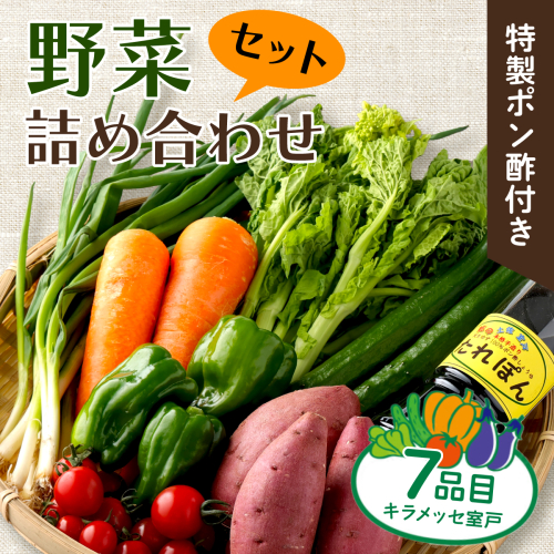 野菜 7種類 詰め合わせセット(特製ポン酢付)  新鮮 旬 春 おまかせ 5000円 故郷納税 送料無料 12539 - 高知県室戸市