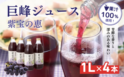 信州産 巨峰ジュース 果汁100％　「紫宝の恵」 (1L×4本) 果実飲料 飲料類 飲み物 フルーツジュース ぶどうジュース グレープジュース 添加物不使用  1254047 - 長野県長野市
