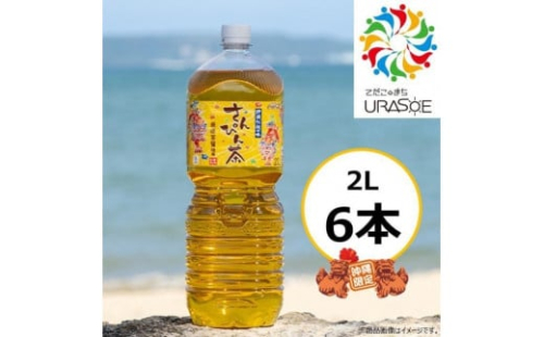 【沖縄限定販売!】茶琉彩彩さんぴん茶2L×6本 1255126 - 沖縄県浦添市