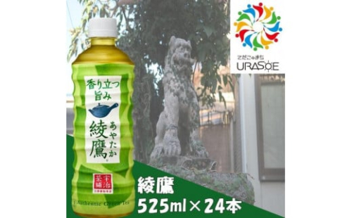 綾鷹 525ml×24本 1255152 - 沖縄県浦添市
