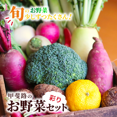 旬のお野菜を少しずつたくさん！甲斐路の彩りお野菜セット 1255996 - 山梨県甲斐市
