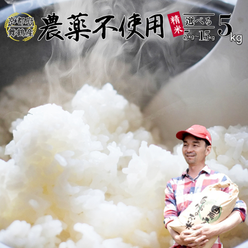 【令和7年度産 新米 先行予約】 棚田米 白米 5kg 栽培期間中農薬不使用 コシヒカリ お米 おにぎり お弁当 京都 舞鶴 農家直送 こしひかり 減農薬 無農薬 低農薬 ご飯 米 棚田 125662 - 京都府舞鶴市
