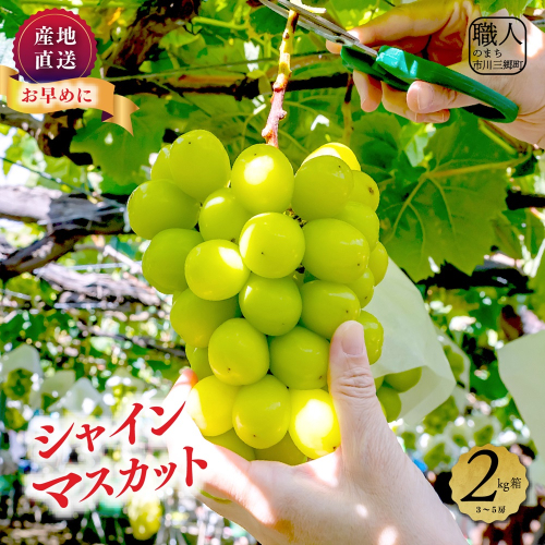 【2025年8月下旬より発送】シャインマスカット　２キロ　３～５房　土橋農園[5839-1884] 1258245 - 山梨県市川三郷町