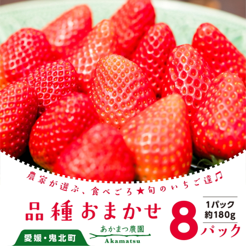 【2026年春収穫分】【先行受付】【品種お任せ】 いちご8パック ｜ レッドパール 紅い雫 紅ほっぺ かおり野 イチゴ 苺 フルーツ あかまつ農園 ※2026年2月中旬～3月中旬頃に順次発送予定 1258373 - 愛媛県鬼北町