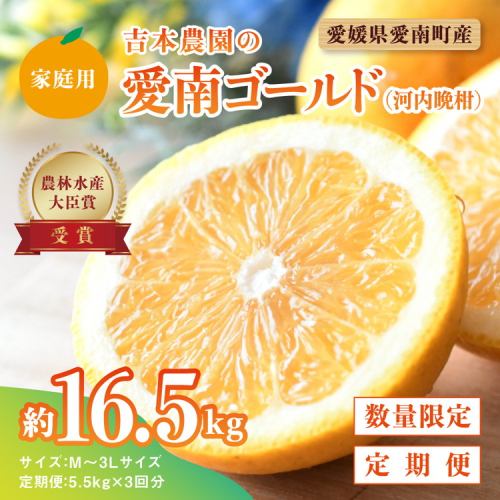 【先行予約】河内晩柑３回お届け定期便／家庭用愛南ゴールド 5.5kg×3回＜柑橘 希少 果物 国産 フルーツ みかん 蜜柑 定期便 家庭用 和製 グレープフルーツ ブランド 果実 ビタミン 愛媛県 鬼北町 ＞ ※2025年4月上旬～8月上旬頃に順次発送予定 1259405 - 愛媛県鬼北町