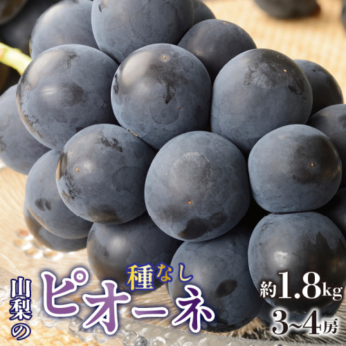 <2025年/令和7年発送先行予約>種無しピオーネ 約1.8kg 3~4房 SWAO002 1262514 - 山梨県昭和町