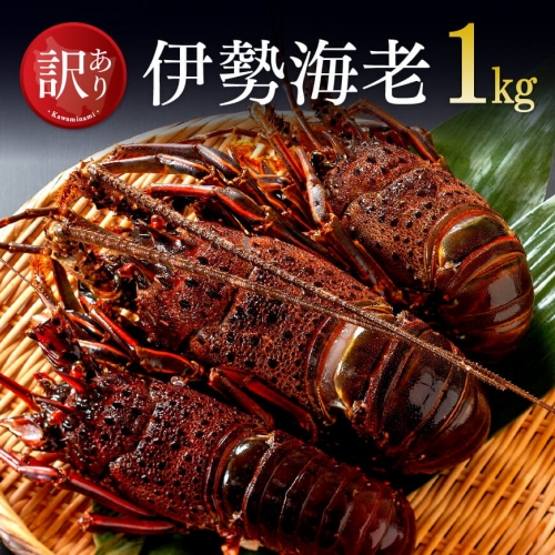 【訳あり】冷凍伊勢海老1kg(2~7尾) 【 伊勢えび 魚介類 いせえび 海産物 訳あり 宮崎県産 国産 】 126338 - 宮崎県川南町