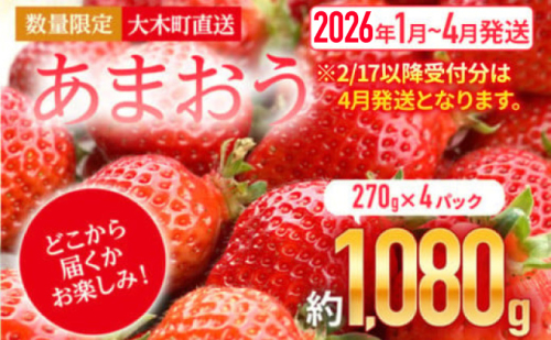 いちご あまおう 大木町 約270g×4パック 合計1080g 【2026年1月～4月に順次出荷予定】 CB223 126498 - 福岡県大木町