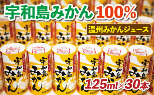 みかんジュース 宇和島 みかん 温州みかん 125ml ×30本 愛工房 先行予約 フルーツ ジュース 果汁 100％ジュース ストレートジュース ミカン mikan 蜜柑 ストレート 果汁100％ 紙パック 飲料 柑橘 スイーツ 果物 くだもの お中元 お歳暮 防災 備蓄 保存 産地直送 国産 愛媛 H020-034002