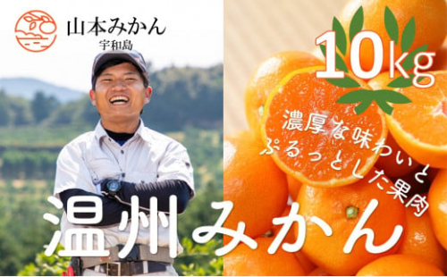 愛媛 みかん 10kg 先行予約 南柑20号 家庭用 温州みかん 山本みかん 温州 ミカン みかん 美味しい 人気 みかん10kg mikan 愛媛みかん 愛媛ミカン 愛媛蜜柑 蜜柑 果物 くだもの フルーツ 産直 お取り寄せ 柑橘 産地直送 農家直送 数量限定 国産 愛媛 宇和島 B012-038001