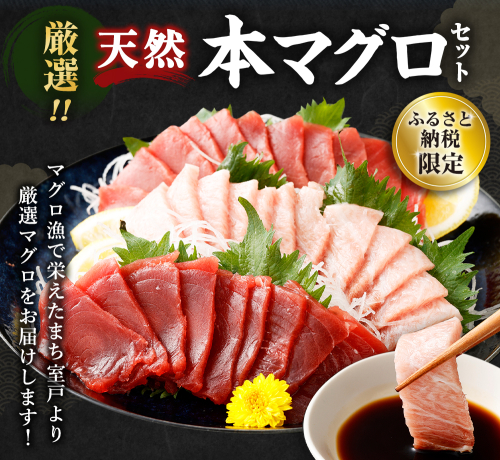 厳選 天然 本マグロ 中トロ 赤身 セット６００ｇ 以上 まぐろ 鮪 100% 冷凍 刺身 海鮮 丼 室戸 12674 - 高知県室戸市