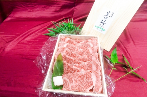 松阪牛 ロース すき焼き用 800g 国産牛 和牛 ブランド牛 松阪牛 JGAP家畜・畜産物 農場HACCP認証農場 牛肉 肉 高級 人気 おすすめ 神戸牛 近江牛 に並ぶ 日本三大和牛 松阪 松坂牛 松坂 国産 すき焼き すきやき 霜降り 冷凍 三重県 多気町 WT-02
 127879 - 三重県多気町