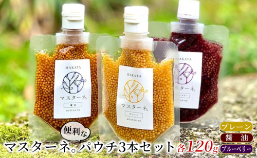 調味料 マスタード 3本 セット マスターネ。 プレーン 醤油 ブルーベリー 各120g パウチ 食べ比べ ※配送不可:離島  1282785 - 福岡県朝倉市