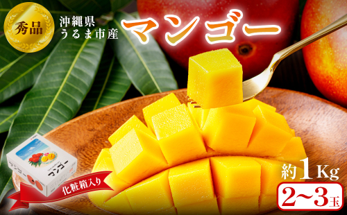 沖縄県 うるま市産 完熟 マンゴー 秀品 1kg【2025年発送】 1282890 - 沖縄県うるま市