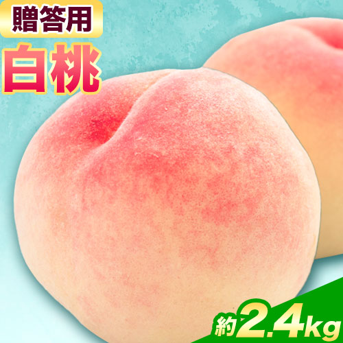【令和7年度先行予約】贈答用 桃 内容量 2.4kg ハレノフルーツ （犬塚農園） 《2026年6月末-8月中旬頃出荷》岡山県 浅口市 フルーツ モモ 果物 青果 旬 おかやま夢白桃 白麗 白鳳 清水白桃 なつごころ 加納岩白桃【配送不可地域あり】 1283162 - 岡山県浅口市