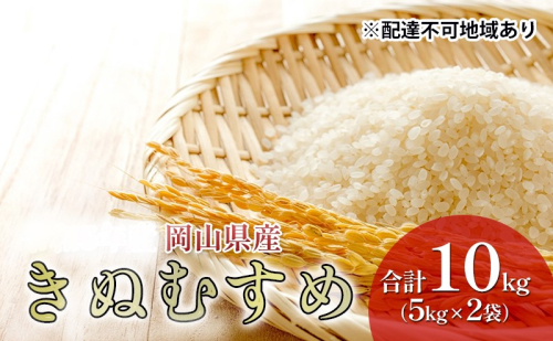 米 特A ランク きぬむすめ 10kg （5kg×2袋） 令和6年産 こめ コメ 白米 岡山県産  1285612 - 岡山県高梁市