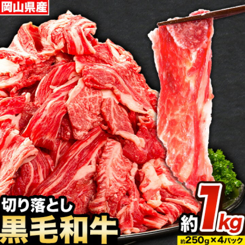 牛肉 肉 黒毛和牛 切り落とし 訳あり 大容量 小分け 1kg 1パック 250g 《30日以内に出荷予定(土日祝除く)》岡山県産 岡山県 笠岡市 お肉 にく カレー 牛丼 切り落し 切落し
 1286329 - 岡山県笠岡市