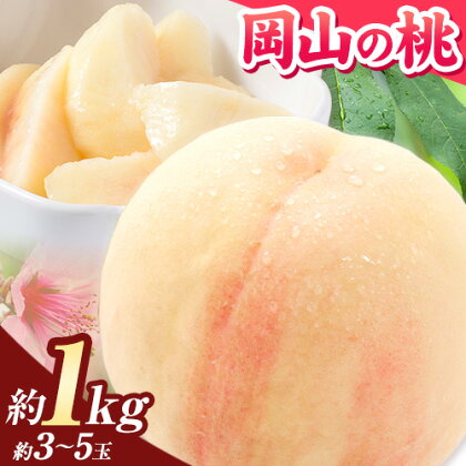 【先行予約】桃 岡山の桃 約1kg(3～5玉前後)《2026年6月下旬-9月上旬頃出荷》 ご家庭用 訳あり 白桃 岡山 はくとう スイーツ フルーツ 果物 デザート 旬 モモ もも 先行予約 送料無料 果物 岡山県 笠岡市 清水白桃 白鳳 白麗 クール便 1286725 - 岡山県笠岡市