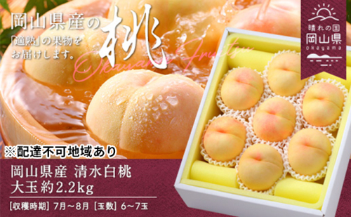桃 2026年 先行予約 清水白桃 約2.2kg 大玉 6～7玉 もも モモ 岡山県産 国産 フルーツ 果物 ギフト  1287095 - 岡山県玉野市