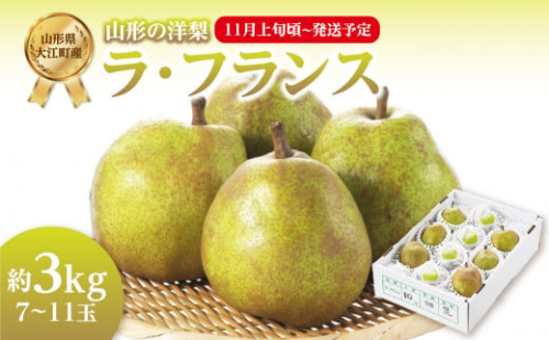 《先行受付》ラ・フランス 約3kg （7～11玉） 【2025年11月上旬頃～発送予定】【山形洋梨】 【001-081】 1288498 - 山形県大江町