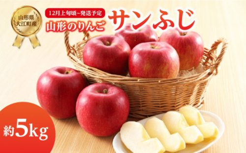 《先行受付》サンふじ約5kg 【2025年12月上旬頃～発送予定】【山形りんご・大江町産】 【001-083】 1288499 - 山形県大江町