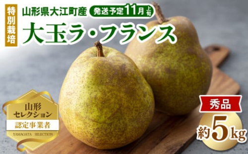 《先行受付》特別栽培 大玉 ラ・フランス 約5kg・秀品4L～3L 【2025年11月上旬頃～発送予定】【糖度13度以上・山形洋梨・大江町産・鈴木果樹園】 【025-019】 1288577 - 山形県大江町