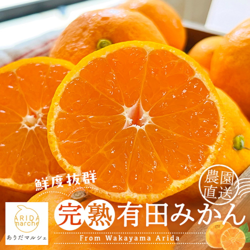 【先行受付 2025年11月～発送】農園直送!完熟有田みかん 5.2kg(5kg+200g(傷み補償分)) ※北海道・沖縄・離島への配送不可 ※2025年11月上旬～12月下旬頃より順次発送予定 1288960 - 和歌山県美浜町