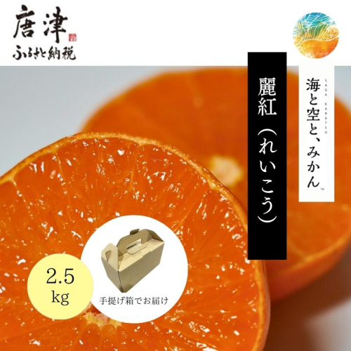 『先行予約』【令和8年1月中旬発送】唐津産ハウス育ち「麗紅」2.5kg 手提げ箱入り ～海と空と、みかん～ ミカン フルーツ 柑橘 ギフト 1289349 - 佐賀県唐津市