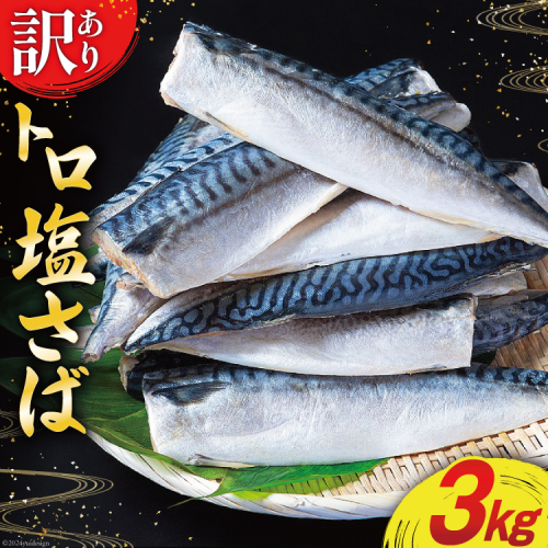 訳あり 塩サバ フィレ 3kg [足利本店 宮城県 気仙沼市 20564146] 魚介類 魚 海鮮 大容量 サバ さば 鯖 サバフィレ サバフィーレ 鯖フィレ トロサバ 訳アリ 訳あり わけあり 切り身 冷凍 1290301 - 宮城県気仙沼市